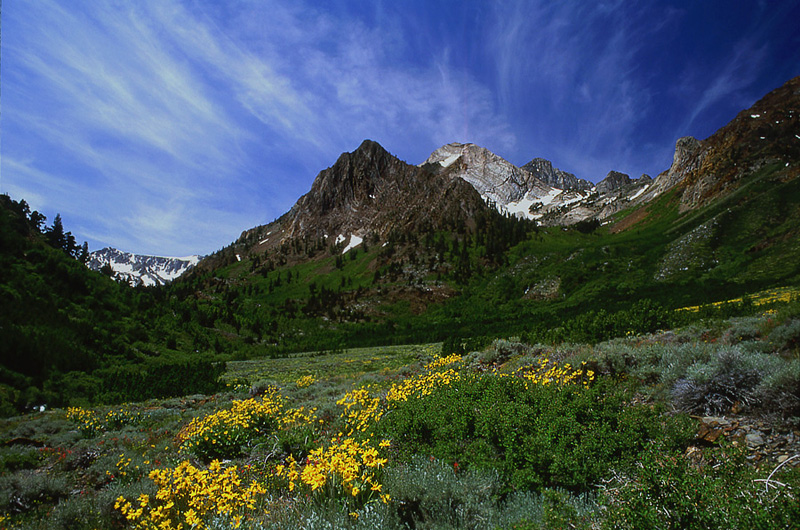 McGee Creek - Along the Eastern Side
