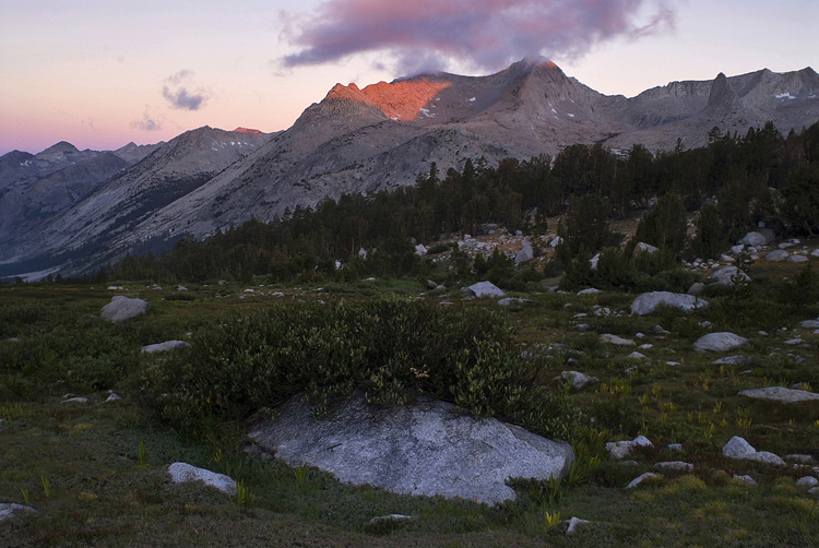 Photo of the Week 12/26/2011 - Photo of the Week