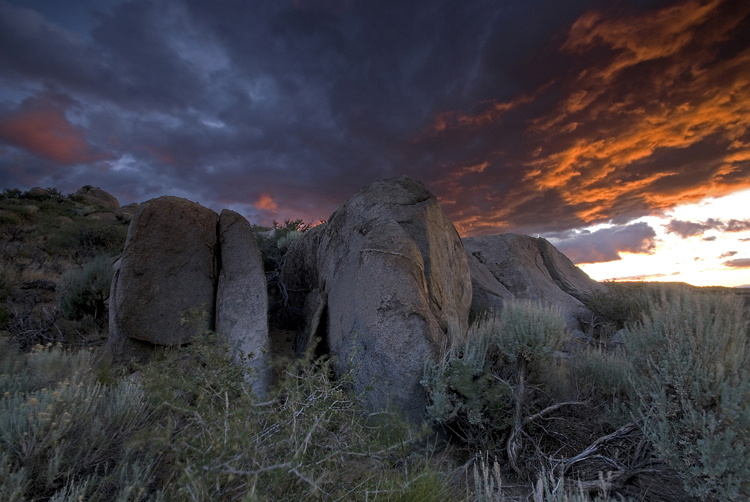 Photo of the Week 6/25/2012 - Photo of the Week