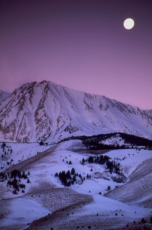 Week of 1/3/2011 - Photo of the Week