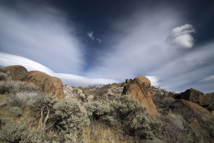 Photo of the Week 6/11/2012 - Photo of the Week