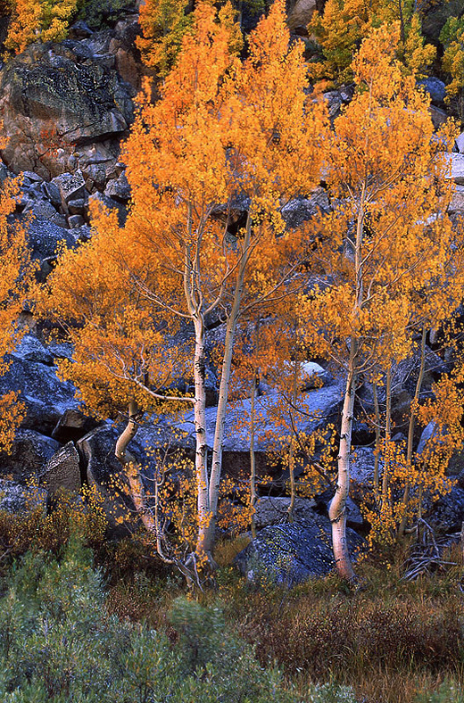 Photo of the Week 9/26/2011 - Photo of the Week