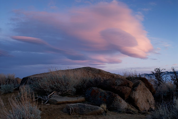 Photo of the Week 3/7/2011 - Photo of the Week