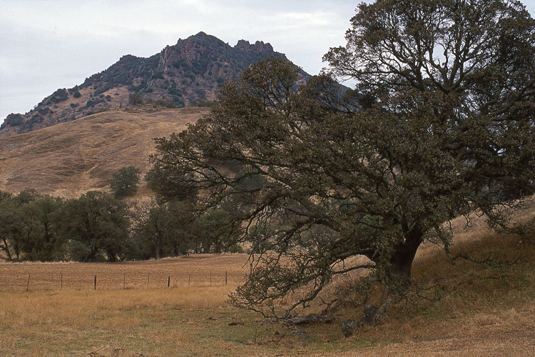 Photo for the Week of 5/02/2011 - Photo of the Week