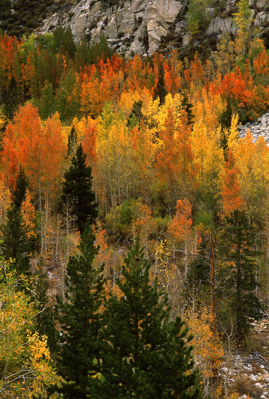  - Fall Colors: The Eastern Side