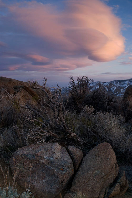 Photo of the Week 3/7/2011 - Photo of the Week