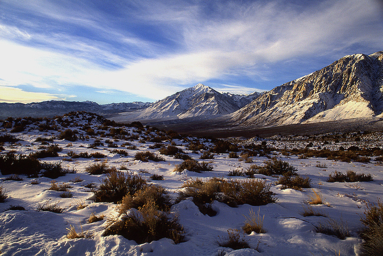 Week of 2/14/2011 - Photo of the Week