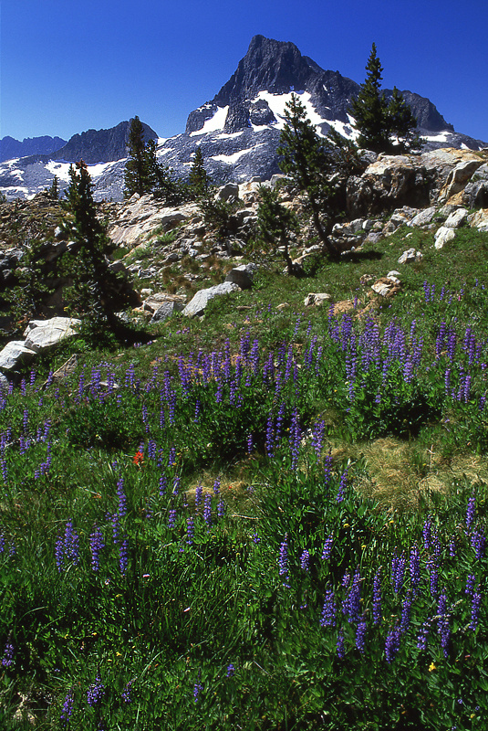 Banner Peak - Sierra Nevada and Yosemite