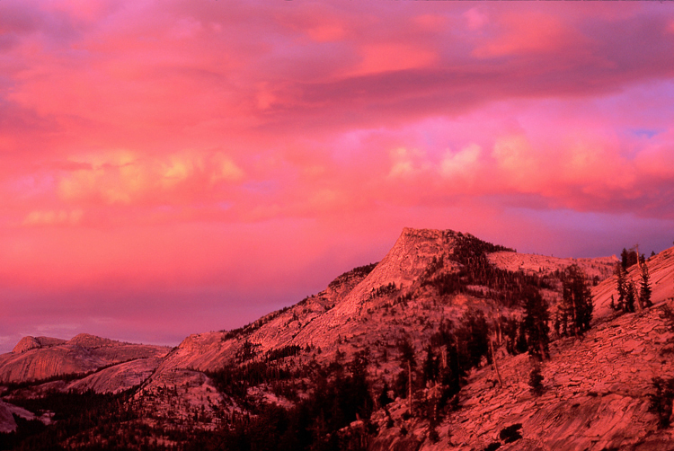 Photos for the Week of 4/30/2012 - Photo of the Week