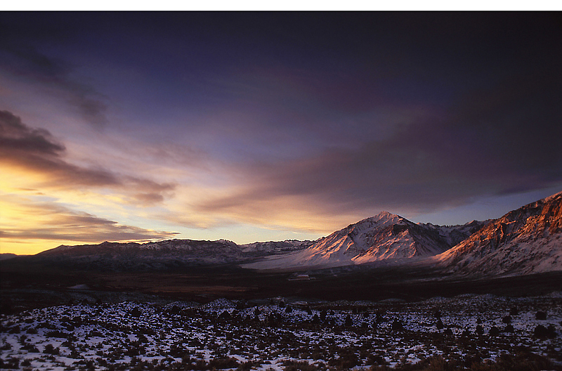 Phot for the Week of 8/2/2010 - Photo of the Week