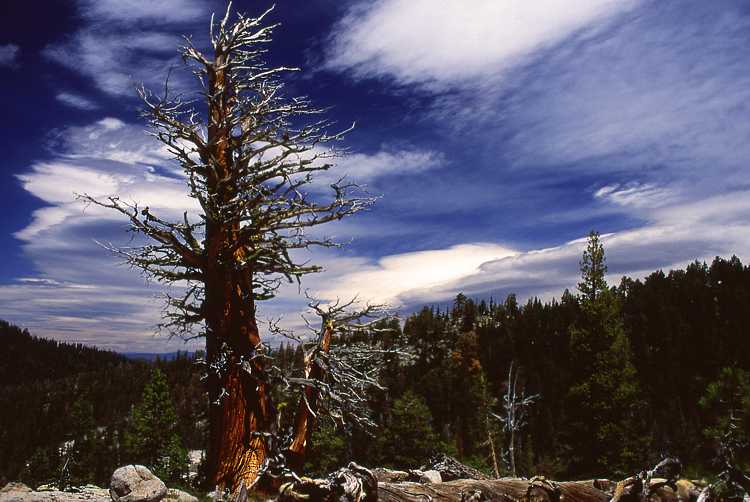 Photo of the Week 7/25/2011 - Photo of the Week
