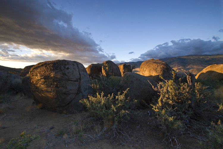Photo of the Week 7/09/2012 - Photo of the Week