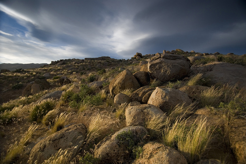  - Nevada