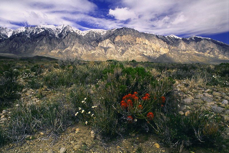 Wheeler Crest - Along the Eastern Side