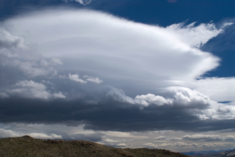 Photo of the Week 7/23/2012 - Photo of the Week