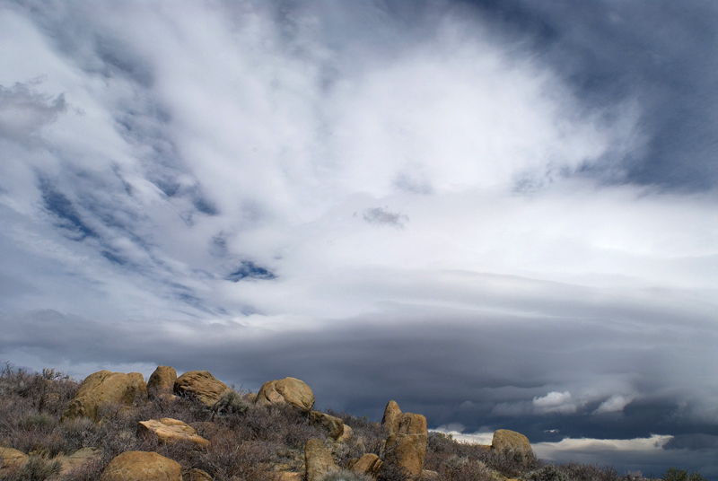 Photo of the Week 7/23/2012 - Photo of the Week