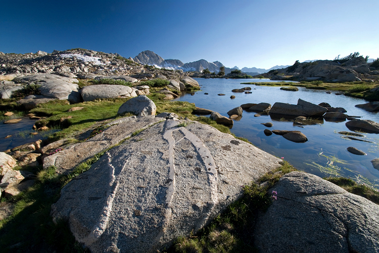 Photo of the Week 8/29/2011 - Photo of the Week