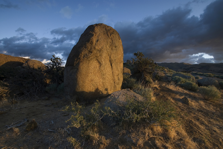 Photo of the Week 7/16/2012 - Photo of the Week