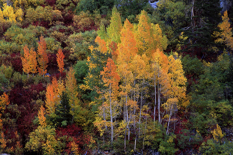  - Fall Colors: The Eastern Side