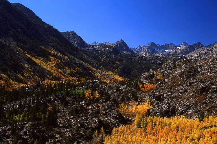 Photo of the Week 2/21/2011 - Photo of the Week