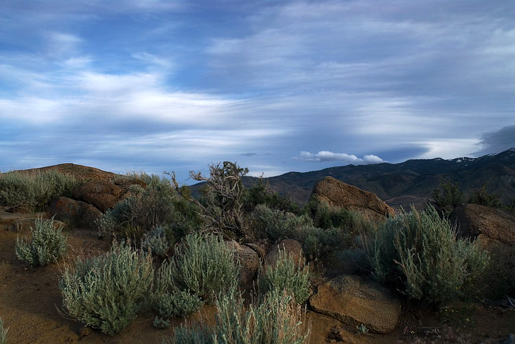 Photo of the Week 6/19/2011 - Photo of the Week
