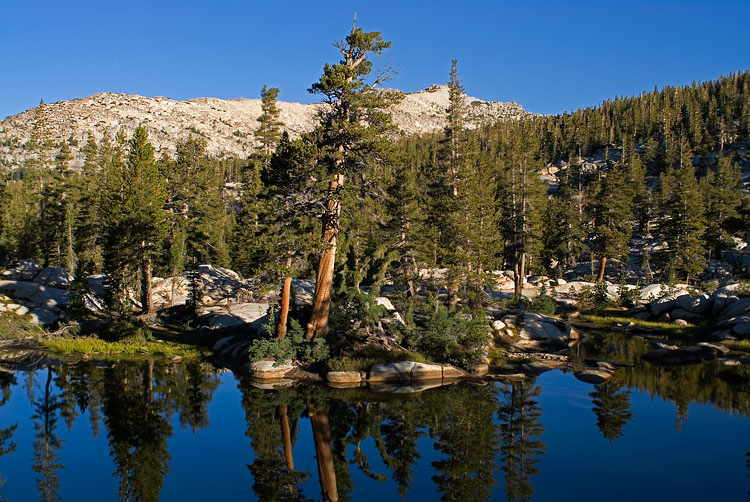 Phot for the Week of 4/11/2011 - Photo of the Week