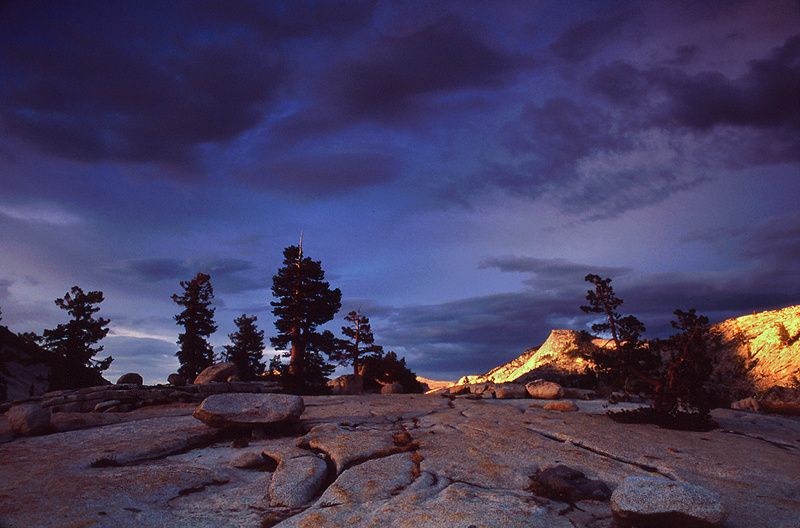 Photo for the Week of 8/9/2010 - Photo of the Week