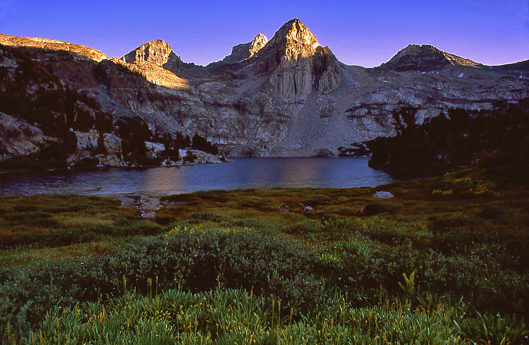 Photo of the Week 7/25/2011 - Photo of the Week