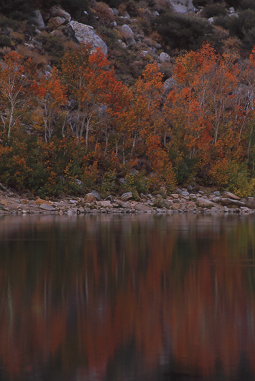 Photo of the Week 7/18/2011 - Photo of the Week