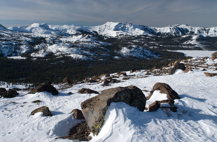 Photo of the Week 1/17/2011 - Photo of the Week