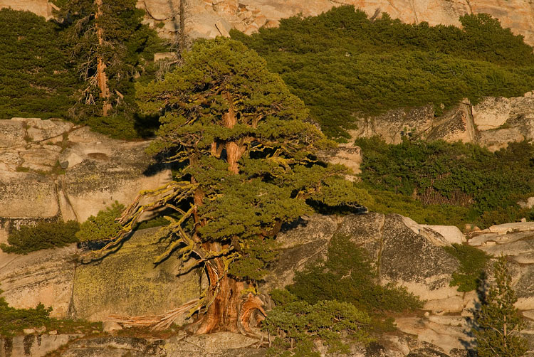 Phot for the Week of 4/11/2011 - Photo of the Week