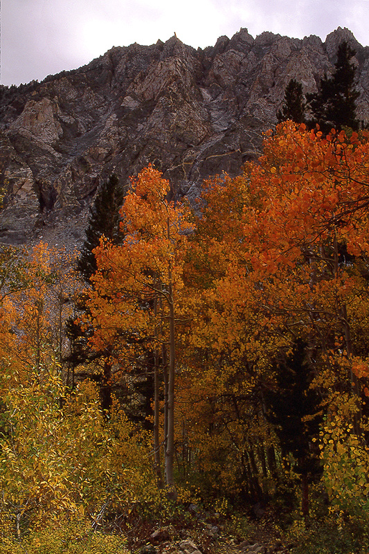  - Fall Colors: The Eastern Side