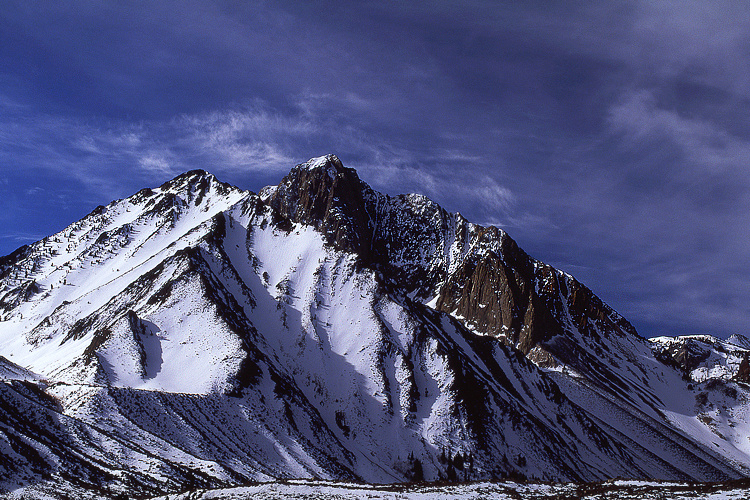 Photos for the Week of 12/20/2010 - Photo of the Week
