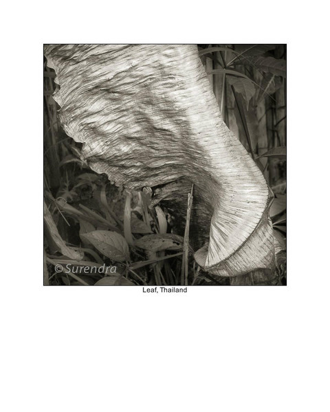  - Organic Forms