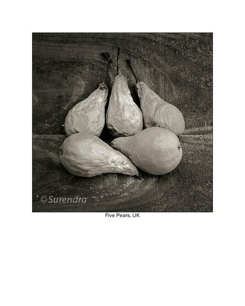  - Organic Forms