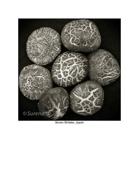 - Organic Forms