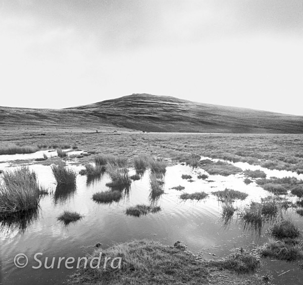 Black Down Dartmoor UK - Dartmoor