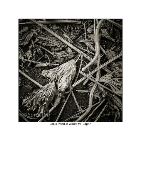  - Organic Forms