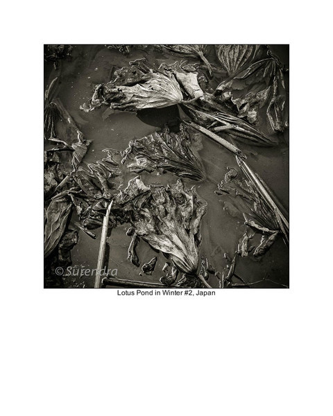  - Organic Forms