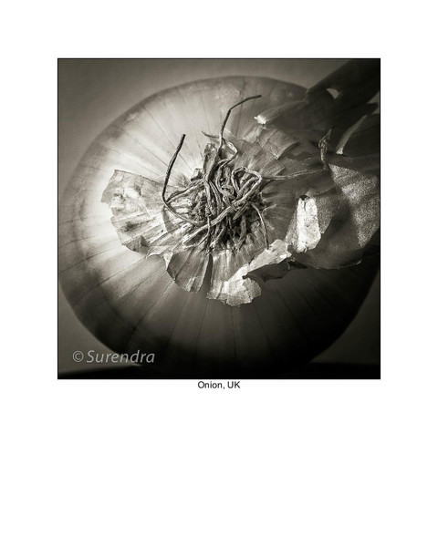  - Organic Forms