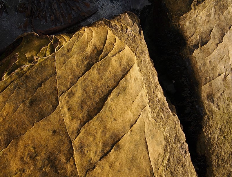 Kildonan shore - Detail
