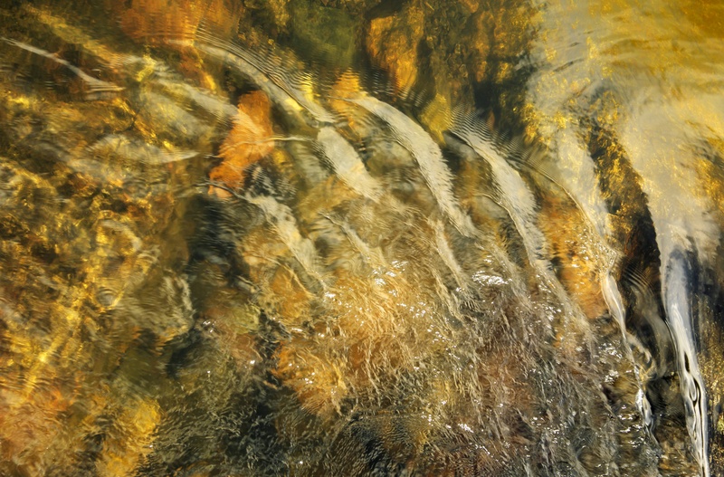 LlynPadarn outflow - Freshwater 2