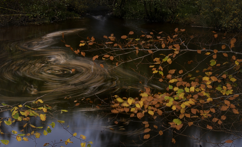 Parc yr Ocar - Freshwater 2