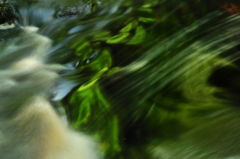 Afon Cynfal - Freshwater 1