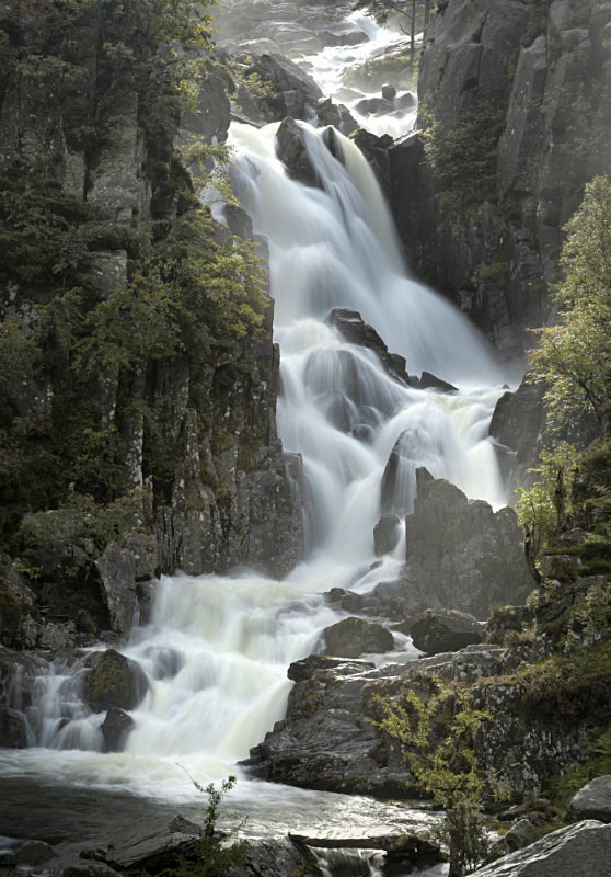 Rhaeadr Ogwen - Freshwater 1
