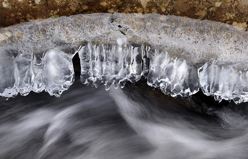 Gwaen Gynfi 4 - Freshwater 1
