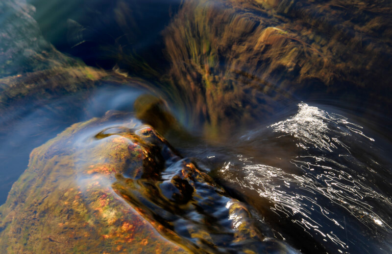 on Gwaen Gynfi - Freshwater 1