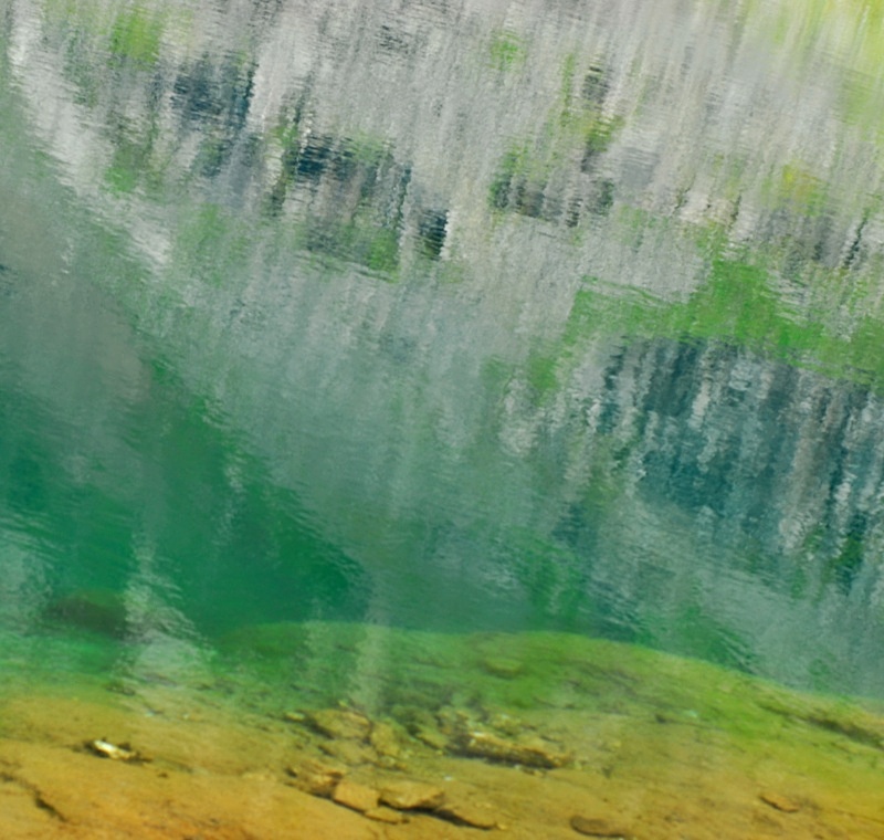 Llyn du'r Arddu - Freshwater 2