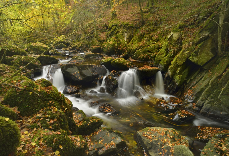 Afon Clywedog - Freshwater 1