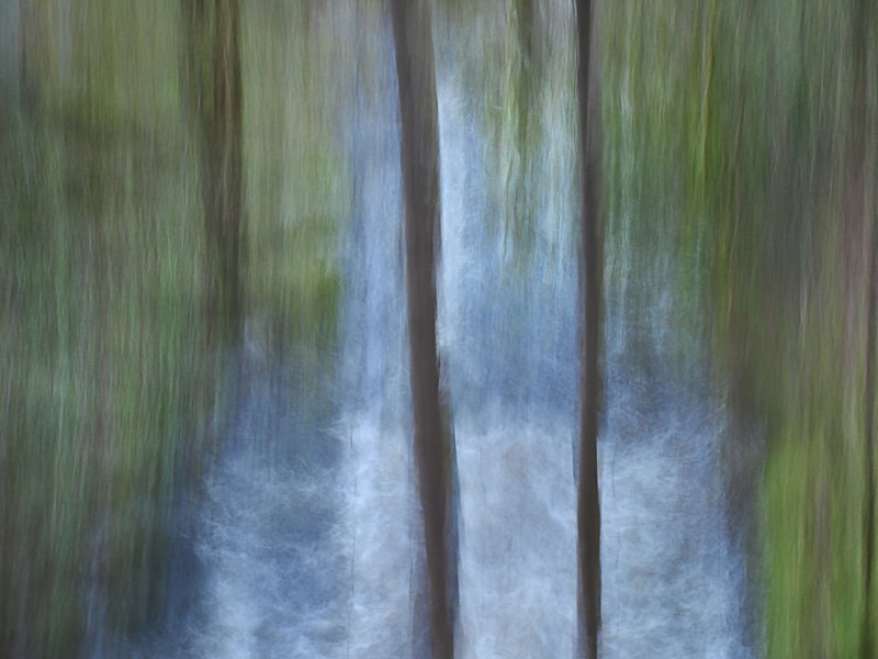 Afon Llugwy 2 - Freshwater 1